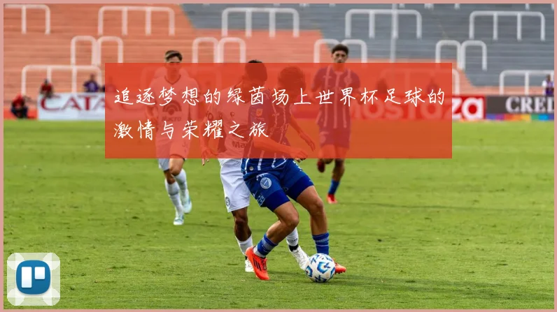 追逐梦想的绿茵场上世界杯足球的激情与荣耀之旅