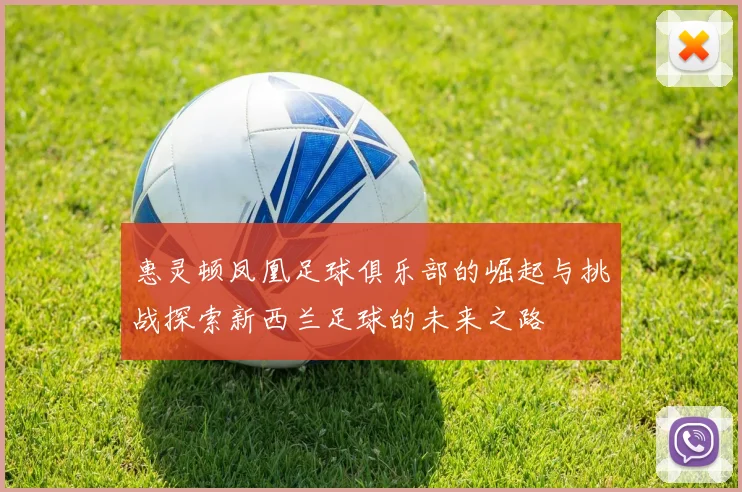 惠灵顿凤凰足球俱乐部的崛起与挑战探索新西兰足球的未来之路