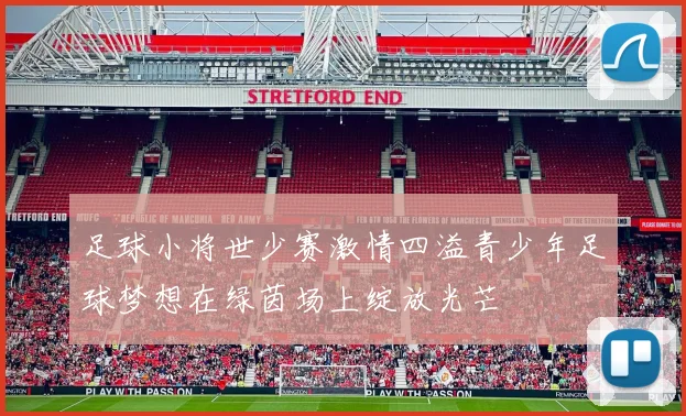 足球小将世少赛激情四溢青少年足球梦想在绿茵场上绽放光芒