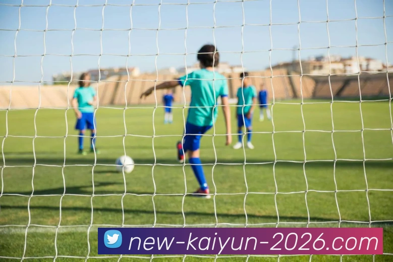 Kaiyun品牌故事